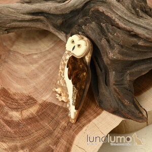 y10OFFN[|I11/27()1:59܂Łzlunolumo u[` fB[X ӂ낤 tNE tNE ҋח  v[g BR ANZT[