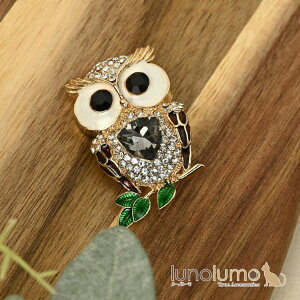 y10OFFN[|I11/27()1:59܂Łzlunolumo u[` fB[X ӂ낤 tNE  ~~YN rW LL CXg[ v[g BR ANZT[