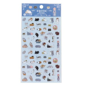 cinemacollection V[ V[gV[ Exotic Shorthair V[ 蒠fR fRV[ 킢 ObY [