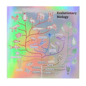 cinemacollection STUDY HOLIC ダイカットシール オーロラステッカー 進化生物学 Green Flash デコシール 耐水耐光 学び 学問 グッズ 文房具