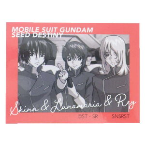 cinemacollection @mK_SEED DESTINY _CJbgV[ LN^[XebJ[ LOʐ^ X[vlbg _CJbgrj[XebJ[ fRV[ ϐ A