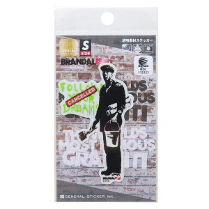 y10OFFN[|I11/11 ()1:59܂Łzcinemacollection oNV[ BRANDALISED _CJbgV[ fރXebJ[ Follow Your Dreams [lXebJ[ fRXebJ[ ϐό ObY