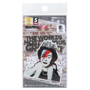 y10OFFN[|I11/11 ()1:59܂Łzcinemacollection oNV[ BRANDALISED _CJbgV[ fރXebJ[ Lizzie Stardust [lXebJ[ fRXebJ[ ϐό ObY [