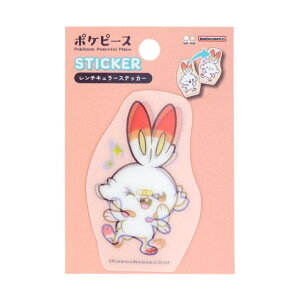 cinemacollection |PbgX^[ rbOV[ `L[XebJ[ |Ps[X qoj[ |P TX^[ 땶 fRV[ LN^[ ObY [