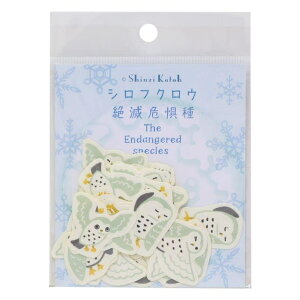 cinemacollection Shinzi Katoh VW JgE t[NV[ oiiy[p[t[NV[ Ŋ뜜 VtNE V[ DECOV[ fR[V ObY [