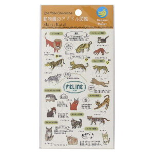 cinemacollection Shinzi Katoh VW JgE V[V[g oiiy[p[V[gV[ ̃ACh} lR V[ fR[V 킢 ObY [