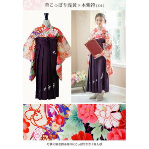 Catherine Cottage ȒPуZbg sGt`낵V 2025N3 t 񂽂 уZbg wZ Ǝ @̎q@с@ۈ牀@Nс@ ȒPt hJ a  ܎O 