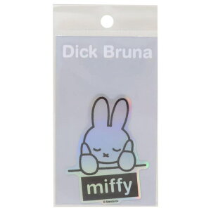 cinemacollection ~btB[ _CJbgV[ zOXebJ[ l fBbNu[i [lXebJ[ ϐό fRXebJ[ G{LN^[ ObY [