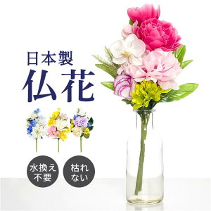 BACKYARD FAMILY A[eBtBVt[ ԘA QECeAG