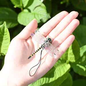 REAL STYLE Ij}  悯 6.5cm St Q΍ 񂹕tȂ ObY ͌^ A  JV ΍ AEghA ނ oR l q Lv L[z_[ Xgbv Ss x