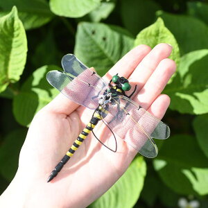 REAL STYLE Ij}  悯 12cm St Q΍ 񂹕tȂ ObY ͌^ A  JV ΍ AEghA ނ oR l q Lv L[z_[ Xgbv Ss x