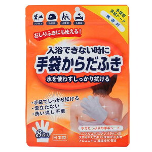 REAL STYLE からだふき 体拭きシート 防災 入院 介護 無香料 手袋 おしりふき 長期保存 水なし ノンアルコール パラベンフリー 災害 非常時 備蓄 ボディ・ハンド・フットケア