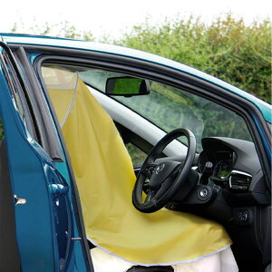 REAL STYLE ԗpi TVF[h J[e 悯  ډB Ռ tFCXJo[ O xe  Q ԏ Ԓ ^] ܂肽 t@bVG