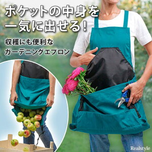 REAL STYLE Gv K[fjO obO  傫TCY Y fB[X  n K[f JK[ AEghA _ ʕ R oXEgCE|