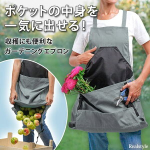 REAL STYLE Gv K[fjO obO  傫TCY Y fB[X  n K[f JK[ AEghA _ ʕ R oXEgCE|