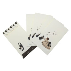 cinemacollection ͂ꂢ |` ۂ sAm ANeBuR[|[V fUCi[Y G{ CXg[^[ ObY [