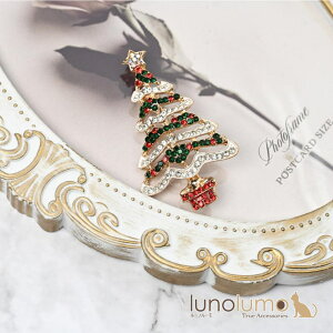 lunolumo NX}X u[` NX}Xc[ ݂̖  LL  v[g 蕨 BR ANZT[