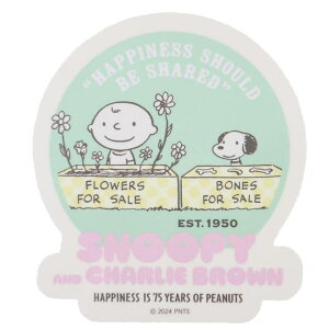 cinemacollection Xk[s[ LN^[XebJ[ _CJbgV[ 75N 04 s[ibc X[vlbg fRV[ LN^[ ObY [