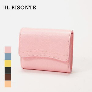 U-STREAM IL BISONTE ���K���� SSW005 PVX001 �C�� �r�]���e ���f�B�[�X ���z �R�C���P�[�X ���U�[ �J�[�h�P�[�X �r�W�l�X �R���p�N�g�E�H���b�g �{�v ���n �C���r�]���e �~�j���z �M�t�g �v���[���g 