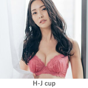 fran de lingerie GRACE Ordinary �炭�炭�␳�O���[�X�I�[�f�B�i���[ �R�[�f�B�l�[�g�u���W���[ H65-J90�J�b�v �C���i�[�E����