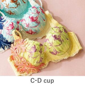 �y10��OFF�N�[�|���I�{�����{���zfran de lingerie GRACE ist Rio �O���[�X�C�X�g���I �R�[�f�B�l�[�g�u���W���[ C65-D75�J�b�v �C���i�[�E����