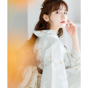 Dita  Zbg fB[X 5_Zbg(䂩EсEʁEt{EЂ) 2025NyW̉Ԑz  l  킢 tF~j  O[ R W Vv i ߁E