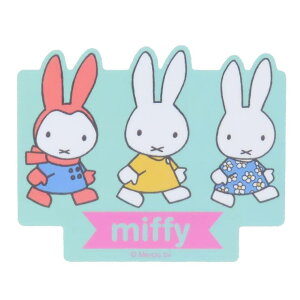 cinemacollection ~btB[ _CJbgV[ LN^[XebJ[ ł fBbNu[i X[vlbg _CJbgrj[XebJ[ fRV[ ϐ G{LN^[ O