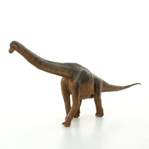 cinemacollection uLITEX NEW\tgftBMA  ObY ʔ ċx R  t@bVG