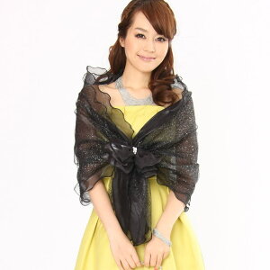 GIRL V[ Xg[  p[eB[ Ă΂ HD HD tH[} fB[X 唻  [X l I[KW[J[fBK { t H~ p[eB[V[ 񎟉 