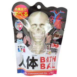 cinemacollectionyKIDSz w̐}ӃCu  l̃oX{[ S6̓ǂꂩ1 mR[|[V qƂC G ObY oXEgCE|