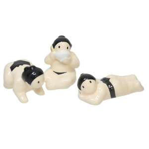 cinemacollection u o̔u 3Zbg TA[g ͂u V 킢 G ObY HELb`pi