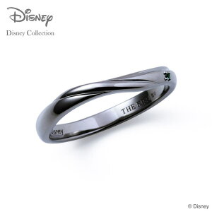 THE KISS yfBYj[RNVz yAO fBYj[vZX vcF THE KISS w Vo[ iY Pij ̏̃vcF bZ[WJ[ht IWi{bNX