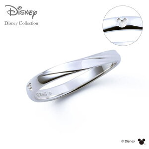 THE KISS _Web^yfBYj[RNVz fBYj[ yAO B~bL[}EX THE KISS OEw Vo[ iY Pij DI-SR511 NX}X ANZT[