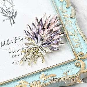 lunolumo �u���[�` ���f�B�[�X �ԑ� �t�����[ �s���N �O���[ �r�W�� �L���L�� ���� �v���[���g BR �A�N�Z�T���[