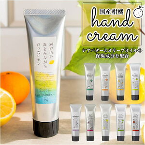 y10OFFN[|I12/11()1:59܂ŁzBACKYARD FAMILY YknhN[ {fBEnhEtbgPA