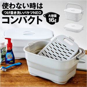 BACKYARD FAMILY ܂肽߂ u􂢃oPc NEO oXEgCE|