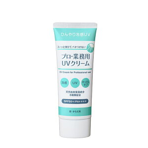 vEƖp vEƖp UVN[ {fBEnhEtbgPA