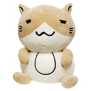 GROOVY STORE L ʂ TCY  t@bVG