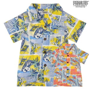 CharaBasket Xk[s[ q LbY AnVc An tďH SNOOPY PEANUTS gbvX