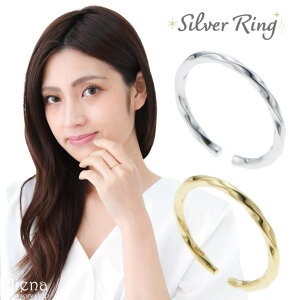 ANZT[VbvPIENA O fB[X Vo[925 cCXg Ђ˂ t[TCY ؚ אg d˂Â i IV 킢 l a LO v[g Mtg ANZT