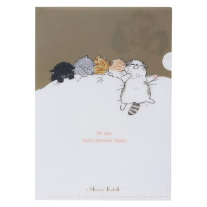 cinemacollection Shinzi Katoh �V���W �J�g�E �N���A�t�@�C�� A5�N���A�t�@�C�� ���₷��˂� �ؖ쐣��� �V�w���������� ���킢�� �O�b�Y ���[��