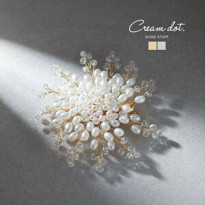 CREAM-DOT u[` tH[} Ǝ  w  }}X[c  RT[W ؂₩ p[  t[ s Nbv C[ i GKg l S[h Vo[ AN