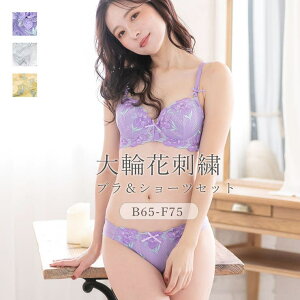 �y10��OFF�N�[�|���I6/11(��)1:59�܂ŁzPINK PINK PINK �u���V���[�c�Z�b�g ���f�B�[�X ���� �u���W���[ �V���[�c �㉺�Z�b�g ���[�X ��։� ����� �J�ԃ��C�N �����W�F���[ B65B70B75C65C70C75D70D75E