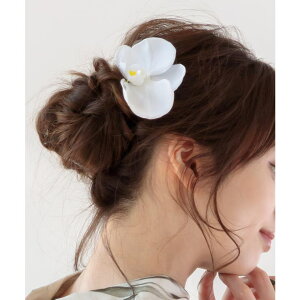 Dita �y�Ӓ����s���z ������ �w�A�A�����W �w�A�A�N�Z�T���[ �� �s�� �V���v�� 2024 �V�� ��l ���� �a�� �p�[�� ���߁E����