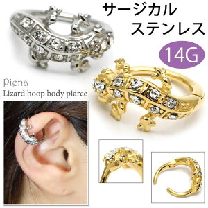 ANZT[VbvPIENA gJQ`[t^b`t[vsAX Ўp 1 T[WJXeX AM[ 14G {fBsAXXg[ ঒ jZbNXfB[X 