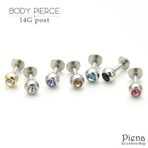 ANZT[VbvPIENA sAX fB[X Y 14G tςȂ CXg[ T[WJXeX316L p ԗp {fBsAXZJhsAX jZbNX t@[XgsA