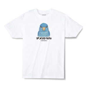 printrium Moftique�i���t�e�B�b�N�j �G���g���[���f�� ����T�V���c �A�j�}�� �}�������n �� �y�b�g �C���N�W�F�b�g�v�����g �򂹊� 4.0�I���X ���� �g�b�v�X �J�b�g�\�[ �� �J�W���A�� ���f�B�[�X
