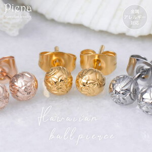 y10OFFN[|I12/11()1:59܂ŁzANZT[VbvPIENA nCAWG[ ꗱsAX X^bh  fB[X T[WJXeX316L AM[Ή AM[ {[