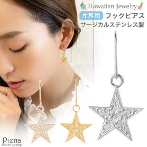 ANZT[VbvPIENA sAX fB[X T[WJXeX Ўp 1 nCAWG[ nW  X^[ vA  h ɗD AM[Ή 