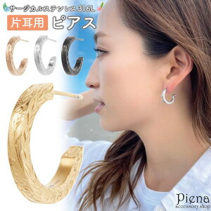 ANZT[VbvPIENA t[vsAX fB[X Y T[WJXeX316L Ўp 1 nCAWG[ nW C^ n[tt[v vA  XN[ g }C 